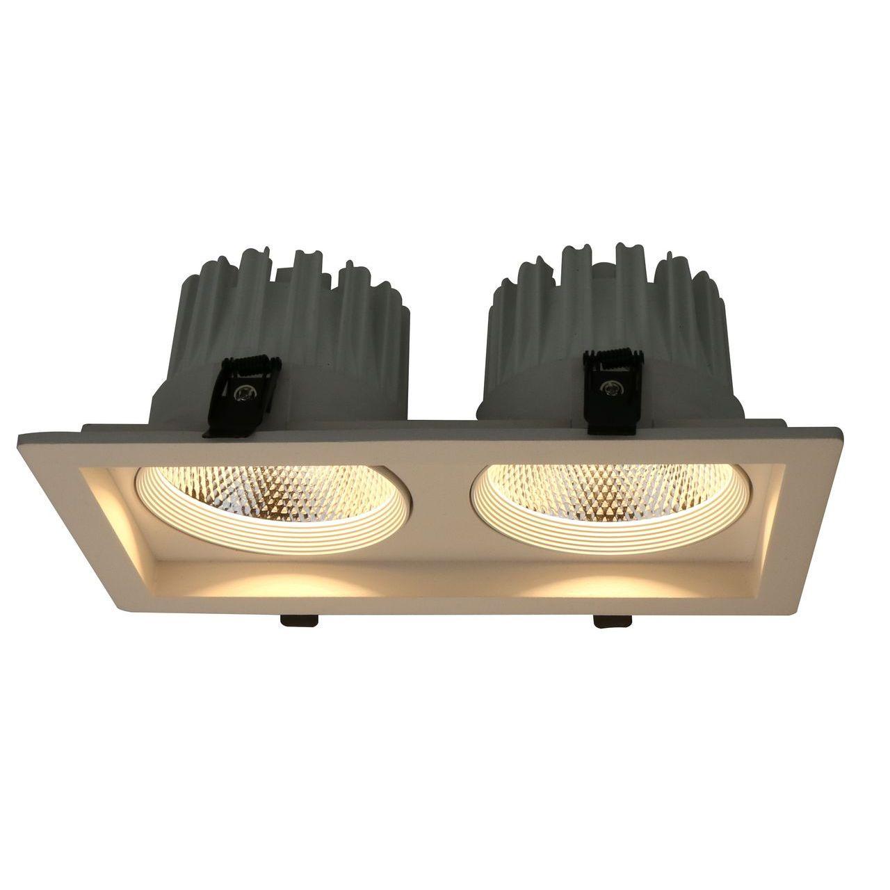 Встраиваемый светодиодный светильник Arte Lamp Privato A7018PL-2WH