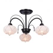 Потолочная люстра Toplight Roberta TL3700X-03BC