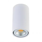 Потолочный светильник Donolux N1595White/RAL9003