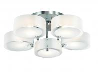 Потолочная люстра ST Luce Foresta  SL483.502.05