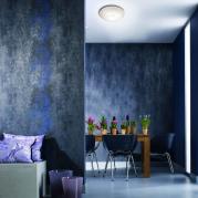 Настенно-потолочный светодиодный светильник Sonex Lukka 2064/BL