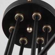 Потолочная люстра Eurosvet Nigella 70052/6 черный/золото