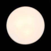 Потолочный светильник ST Luce Bagno SL468.502.03