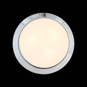 Потолочный светильник ST Luce Bagno SL469.502.03