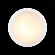 Потолочный светодиодный светильник ST Luce Botone SL466.512.01