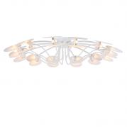 Потолочная люстра Maytoni Austerity MOD342-CL-12-W