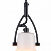 Подвесной светильник Maytoni Daniel MOD407-PL-01-B