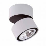 Потолочный светодиодный светильник Lightstar Forte Muro 213859