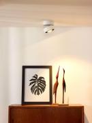 Светодиодный спот Lucide Mitrax Led 33157/10/31