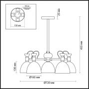 Потолочная люстра Lumion Fiona 3687/5C
