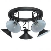 Потолочная люстра MW-Light Таун 4 691012105