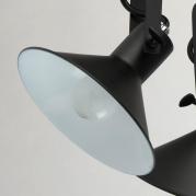Потолочная люстра MW-Light Таун 4 691012306