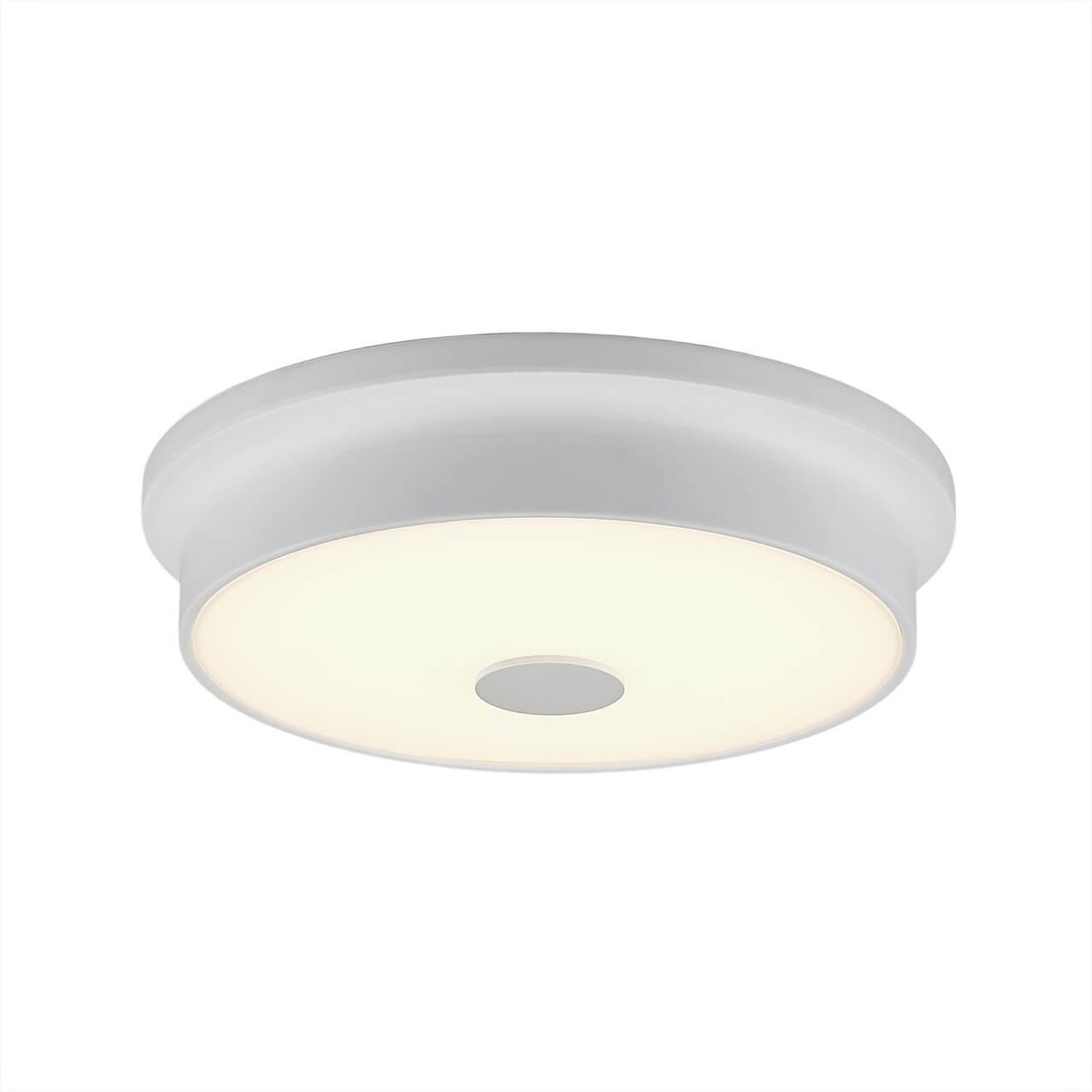 Потолочный светодиодный светильник Citilux Фостер-2 CL706220