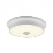Потолочный светодиодный светильник Citilux Фостер-2 CL706220