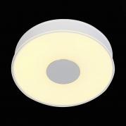 Потолочный светодиодный светильник ST Luce Semplicita SL473.052.01D