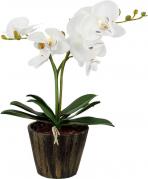 Настольная лампа Globo Flowerpower 28002
