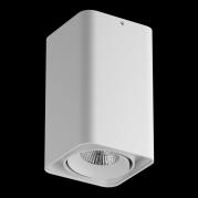 Потолочный светодиодный светильник Lightstar Monocco 052136R