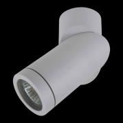 Спот Lightstar Illumo F 051019R