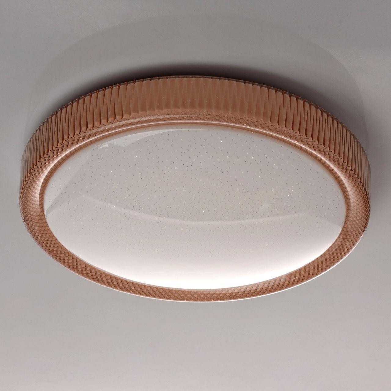 Потолочный светодиодный светильник MW-Light Ривз 5 674013801