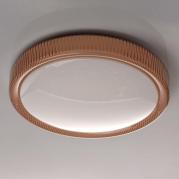 Потолочный светодиодный светильник MW-Light Ривз 5 674013801