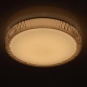 Потолочный светодиодный светильник MW-Light Ривз 5 674013801