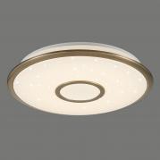 Потолочный светодиодный светильник Citilux СтарЛайт CL70343R