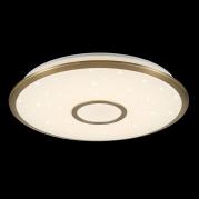Потолочный светодиодный светильник Citilux СтарЛайт CL70363R