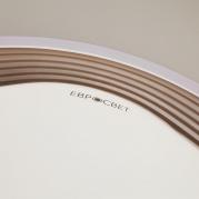 Потолочный светодиодный светильник Eurosvet Range 40005/1 LED кофе