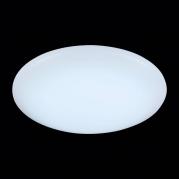 Потолочный светодиодный светильник ST Luce Inse SL875.442.01