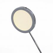 Потолочная светодиодная люстра ST Luce Gruppo2 SL932.102.06