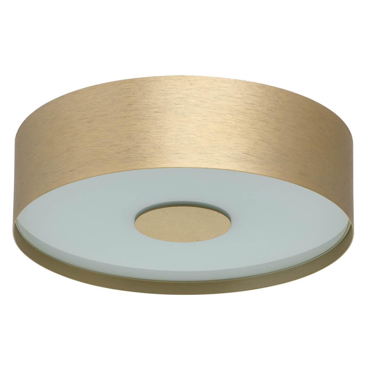 Потолочный светодиодный светильник De Markt Энигма 1 688010501