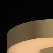 Потолочный светодиодный светильник De Markt Энигма 2 688010801