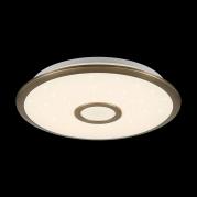 Потолочный светодиодный светильник Citilux СтарЛайт CL70333R