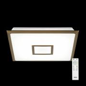 Потолочный светодиодный светильник Citilux СтарЛайт CL70353R