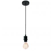 Подвесной светильник Loft IT Loft1700/PBK
