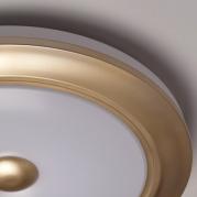 Потолочный светодиодный светильник De Markt Энигма 688010301