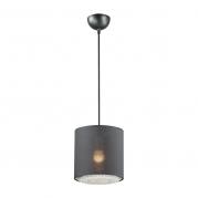 Подвесной светильник Lumion Dora 3738/1