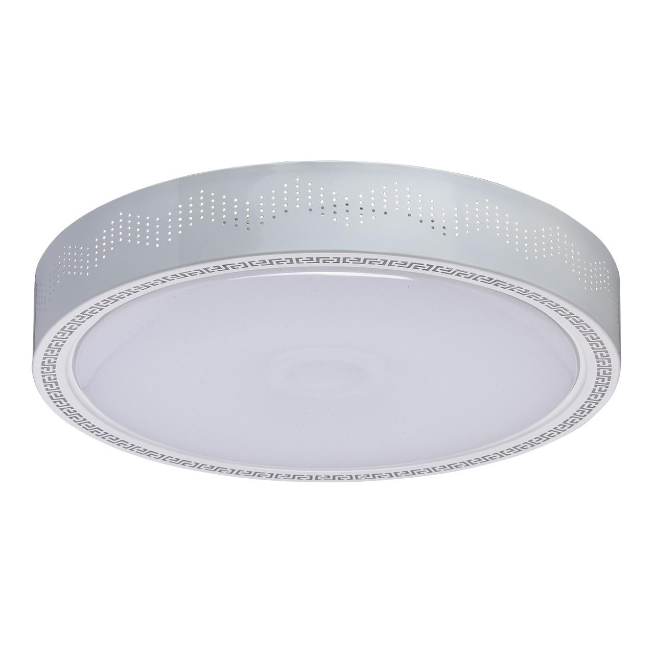 Потолочный светодиодный светильник MW-Light Ривз 674012001