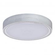 Потолочный светодиодный светильник MW-Light Ривз 674012001