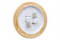 Потолочный светильник Sonex Alabastro 272