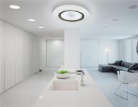 Потолочный светодиодный светильник Ambrella light Orbital Crystal Sand FS1233 WH/SD 48W D390