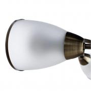 Потолочная люстра Arte Lamp 3 A6056PL-3AB
