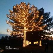 Светодиодная гирлянда Луч 2х25м 50м 500LED теплый белый без мерцания 05-1907