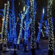 Светодиодная гирлянда Луч 2х25м 50м 500LED холодный белый с мерцанием 05-1911