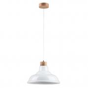 Подвесной светильник Spot Light Avino 9874074