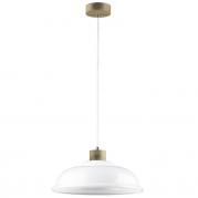 Подвесной светильник Spot Light Molde 9884074