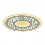 Потолочный светодиодный светильник F-Promo Ledolution 2273-8C