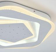 Потолочный светодиодный светильник F-Promo Ledolution 2281-5C