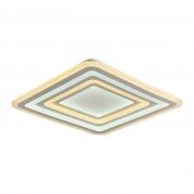 Потолочный светодиодный светильник F-Promo Ledolution 2282-8C