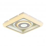 Потолочный светодиодный светильник F-Promo Ledolution 2283-5C